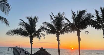 Flamingo Paradise 3 bedroom house