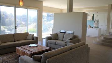 Smart TV, stereo, computer monitors