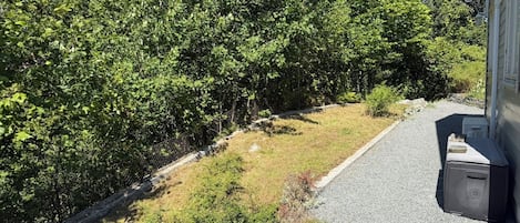 A stone pathway leading to a building with a fenced yard and dense foliage.