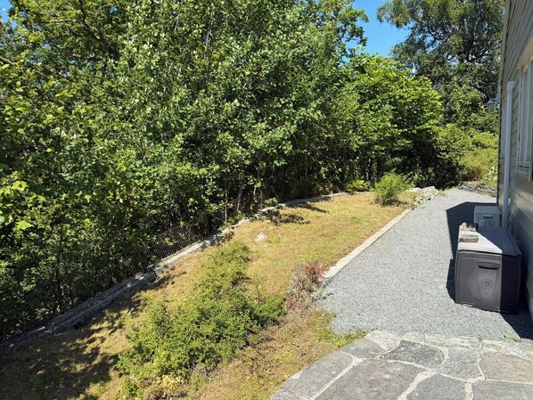 A stone pathway leading to a building with a fenced yard and dense foliage.