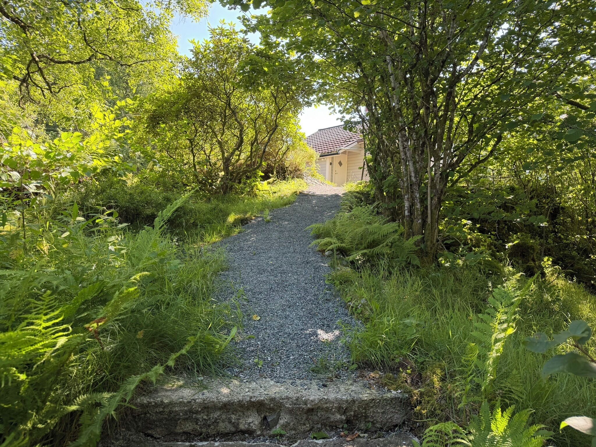 A gravel path leading to a building surrounded by dense greenery and trees.