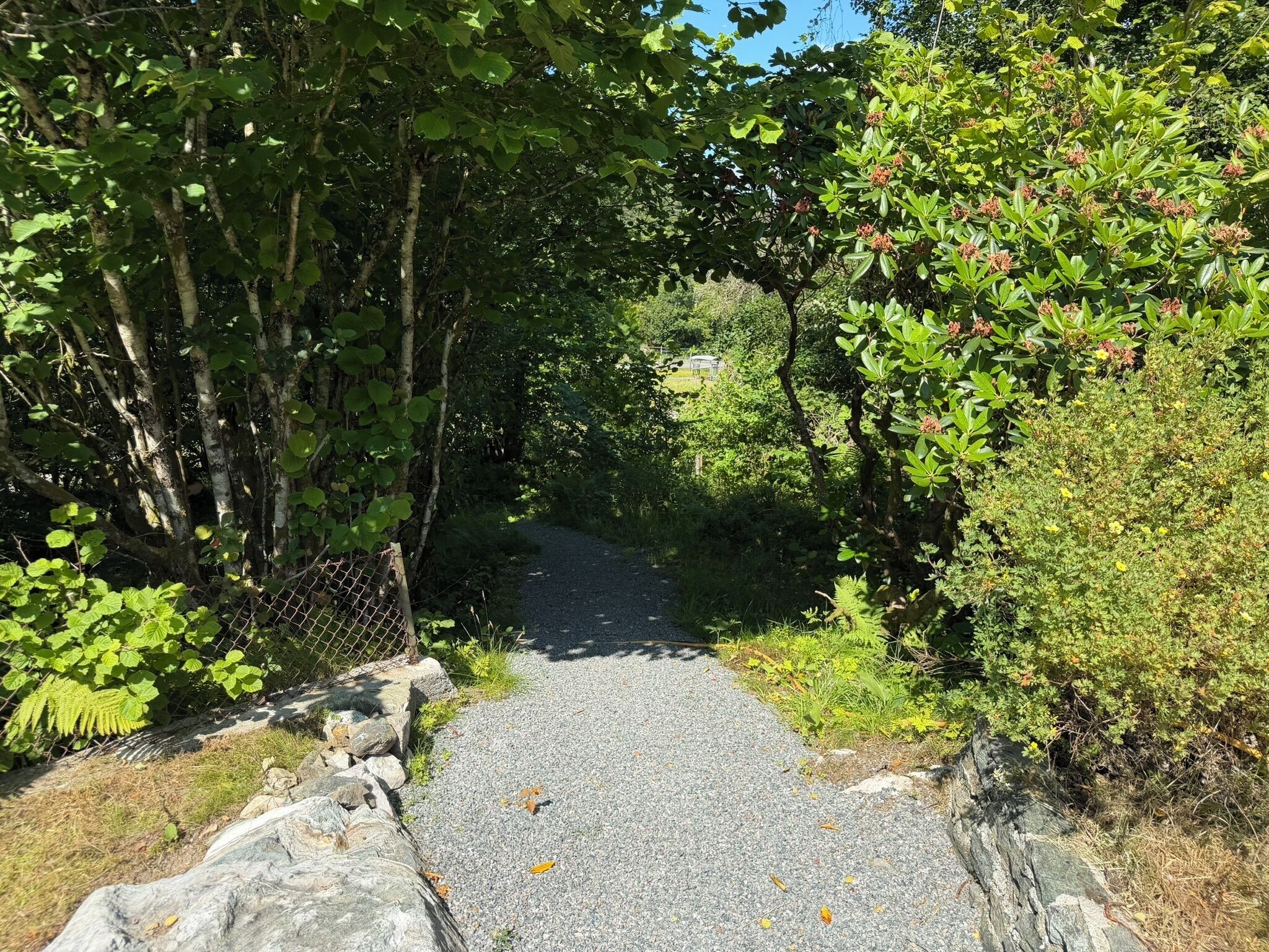 A gravel path flanked by dense foliage and a chain-link fence.