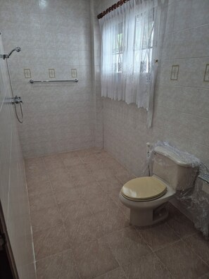 Shower, jetted tub, hair dryer, towels