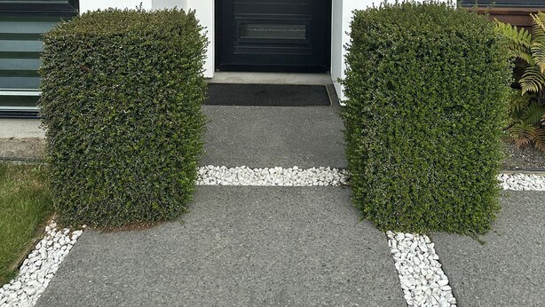 A modern house with a black front door, white walls, and a grey roof. There are two small bushes flanking the entrance, and a gravel pathway leading to the door.