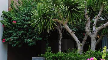 Biệt thự dành cho gia đình, ban công, quang cảnh vườn | Két bảo mật tại phòng, bàn, truy cập Internet không dây miễn phí