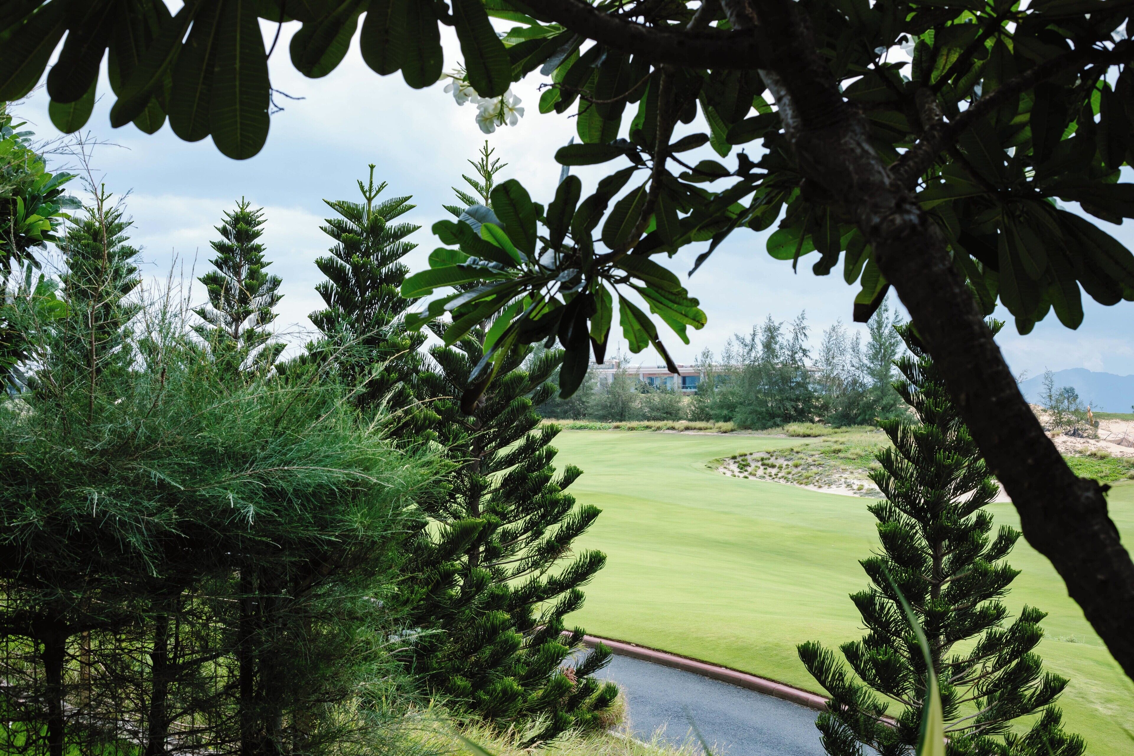 Vista desde la propiedad