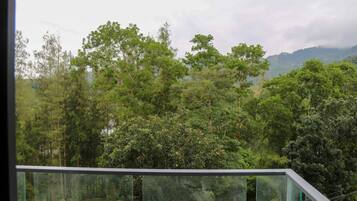 Apartment, Balcony, Mountain View | View from room