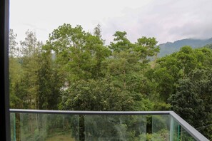 Apartment, Balcony, Mountain View | View from room