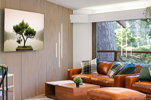 Televisio, takka, videopelejä