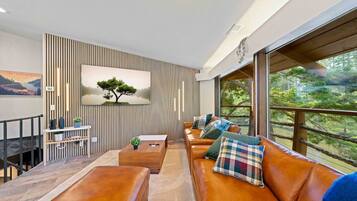 Fernseher, Kamin, Videospiele