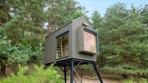Una casa en un árbol con una escalera que lleva a una ventana, rodeada de un bosque frondoso.