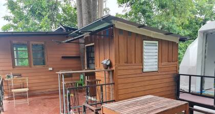 Room-dome & Treehouses for Family 2 Adul