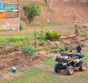 Room, 1 Bedroom, Garden View | Property grounds