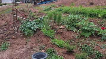 Room, 2 Bedrooms, Garden View | Property grounds