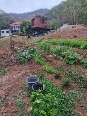 Herbergi - 2 svefnherbergi - útsýni yfir garð | Lóð gististaðar