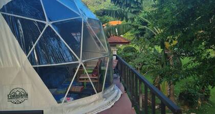 Room-dome & Treehouses for Family 2 Adul