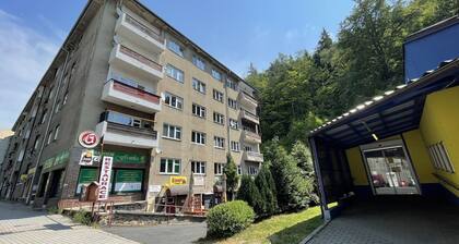 Beautiful apartment for 5 guests with WIFI, TV and pets allowed