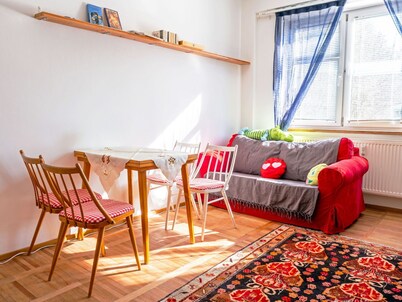 Beautiful apartment for 5 guests with WIFI, TV and pets allowed