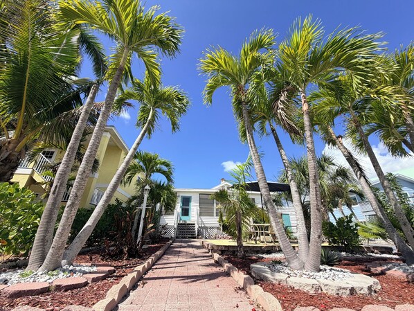 A pathway leading to a building surrounded by tall palm trees.