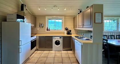 Spacious cabin in Hemsedal with sauna, near slopes