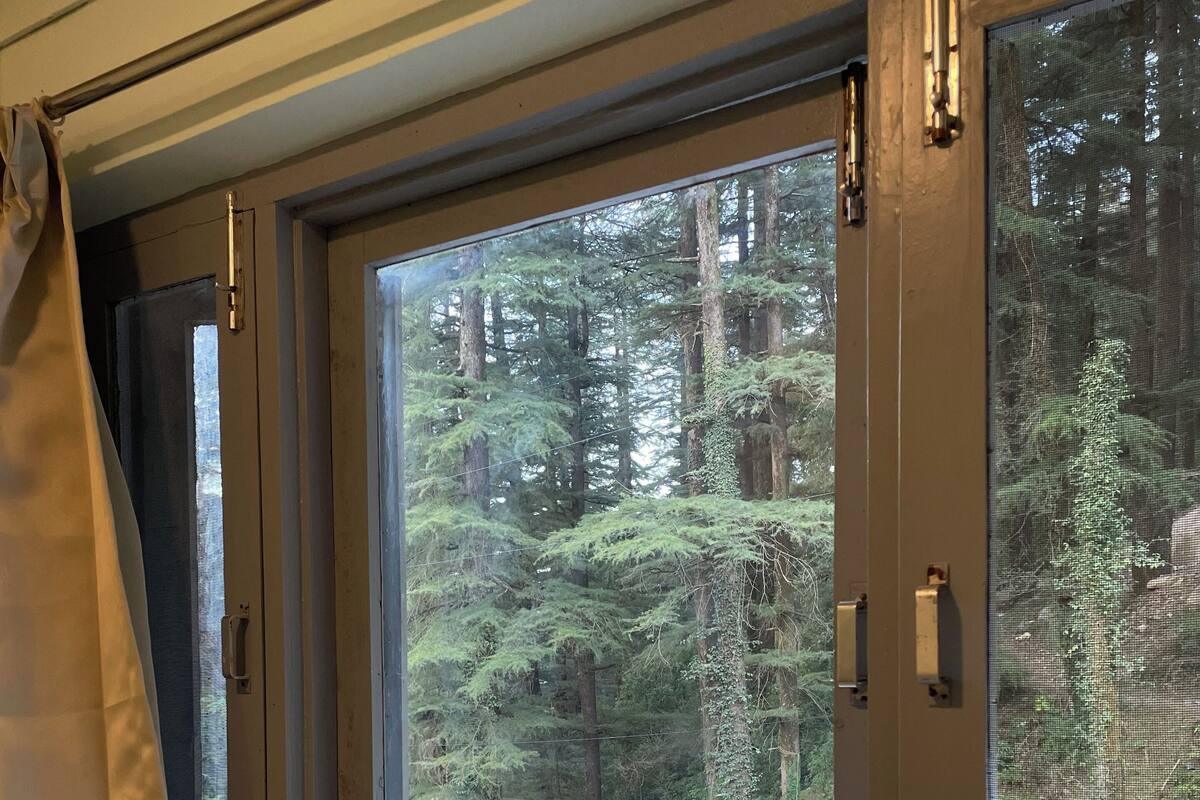 Ein Zimmer mit großem Fenster und Blick auf einen bewaldeten Bereich.