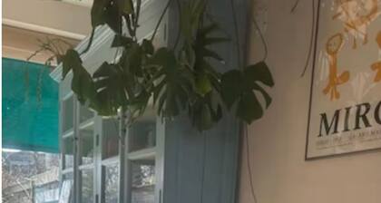 Greenspot. Peace, space, near city and airport, by park, sunny garden