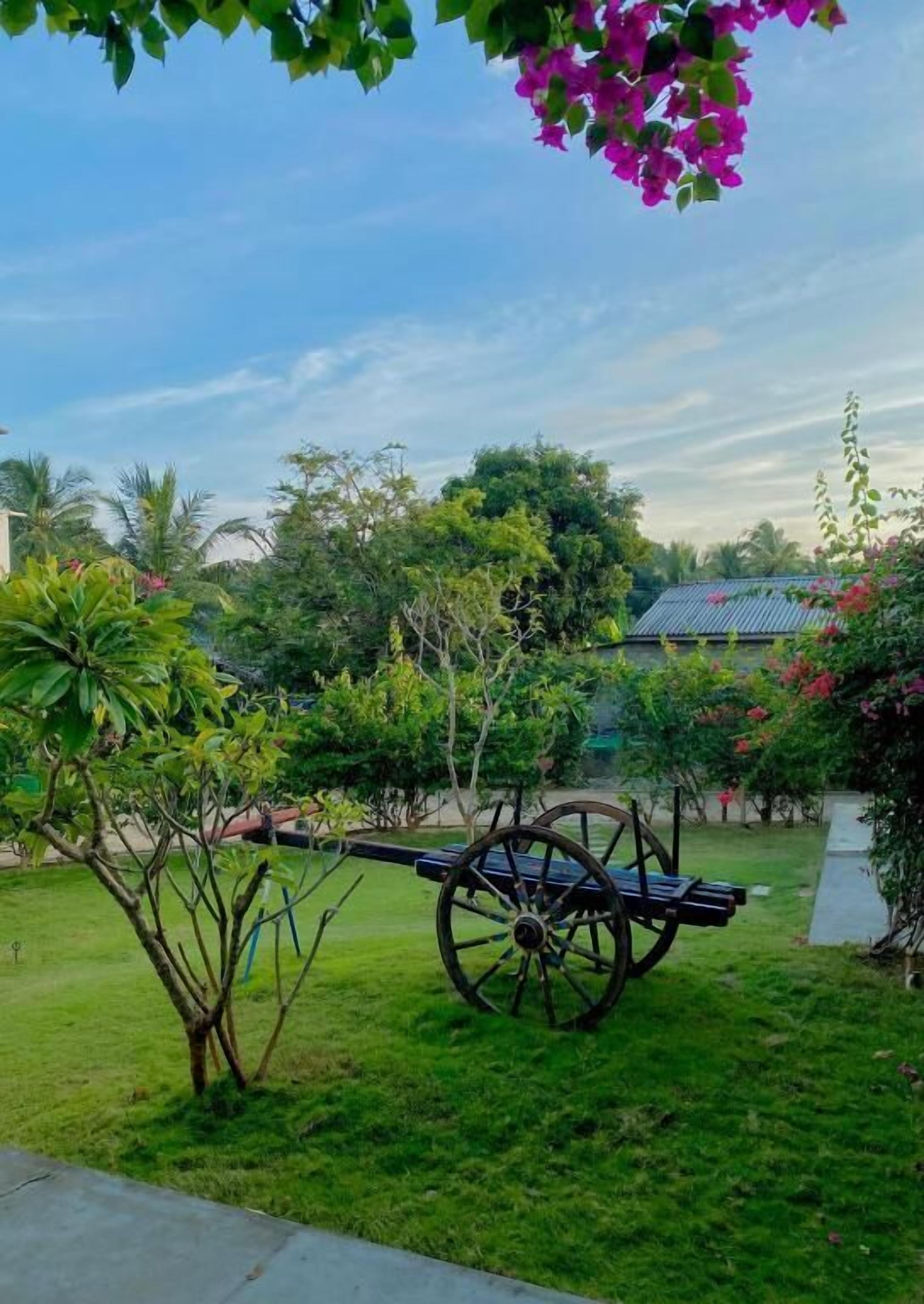 A garden with a cart, lush greenery, and a pathway.