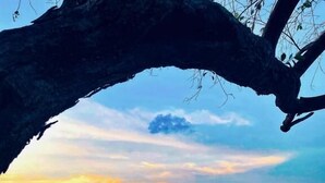 Una silla de descanso en una terraza de madera con barandilla, con vista a un cuerpo de agua y un cielo al atardecer.