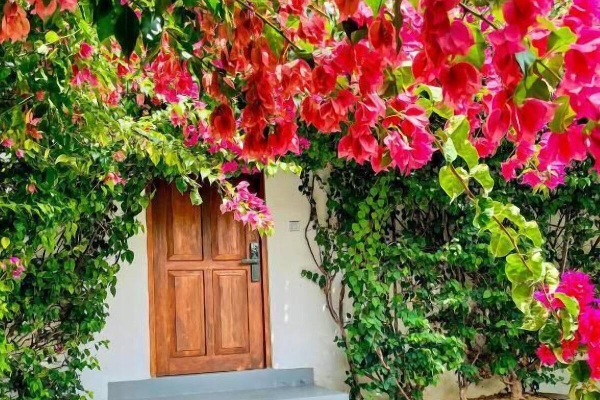 Un edificio con una puerta de madera, escalones que lo conducen y un jardín con flores rosas.