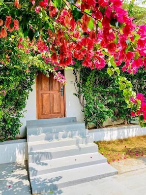 A building with a wooden door, steps leading up to it, and a garden with pink flowers.