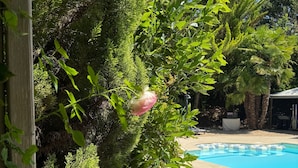 Piscine extérieure (ouverte en saison)