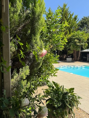 Piscina externa sazonal