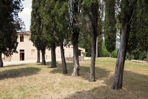Exterior - Peace, nature relaxation and good food, ingredients for a fabulous vacation. (Volterra)