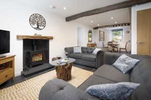 TV, fireplace