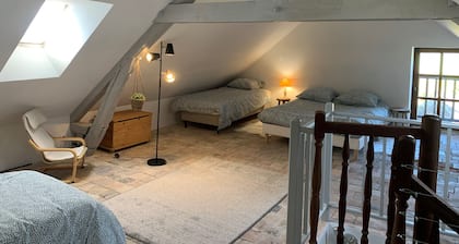 Gite 9 persons near BEAUVAL Zoo, Châteaux de la Loire, Pellevoisin