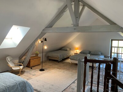 Gite 9 persons near BEAUVAL Zoo, Châteaux de la Loire, Pellevoisin