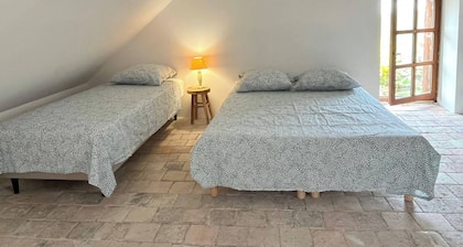 Gite 9 persons near BEAUVAL Zoo, Châteaux de la Loire, Pellevoisin