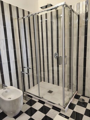 Shower, hair dryer, bidet, towels