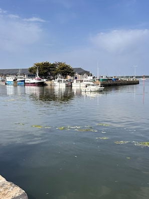 A marina with several boats docked, a building with a sloped roof, and a tree in the background.