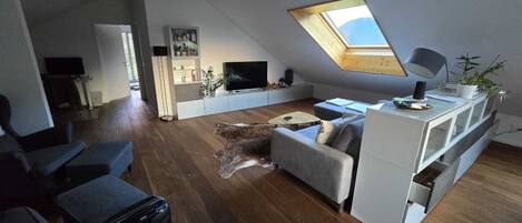 A modern living room with a sloped ceiling, a skylight, a grey sofa, a coffee table, and a dog lying on the floor.