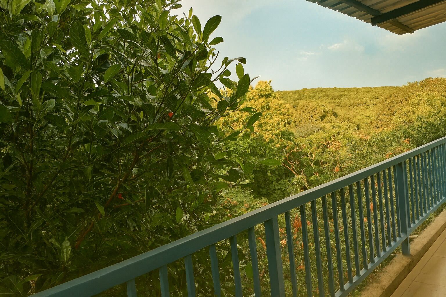 A balcony with a view of a lush, green landscape.