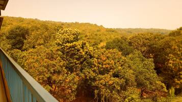 Departamento familiar, balcón, vista al jardín | Balcón