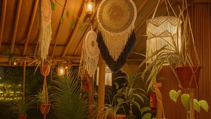 A room with a bamboo ceiling, hanging dreamcatchers, and potted plants. - Arambol Bliss Hote Apartments (Arambol)