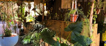 Arambol Bliss Hote Apartments