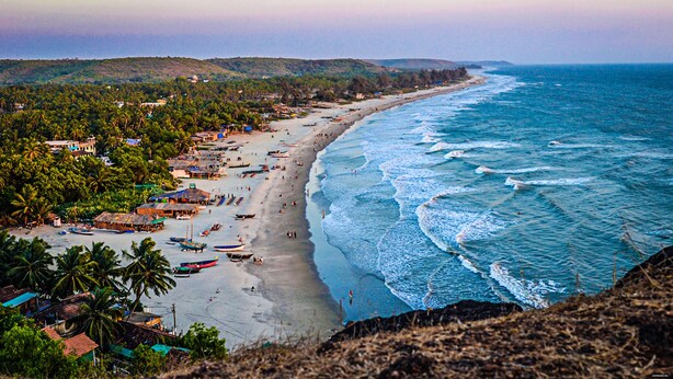 A coastal beach with a sandy shore, palm trees, and boats. - Arambol Bliss Hote Apartments (Arambol)