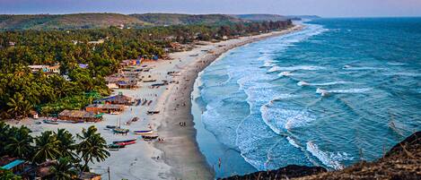 Beach nearby, 20 beach bars