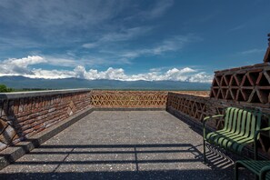 Mountain view - The Wine Station (Tsinandali)