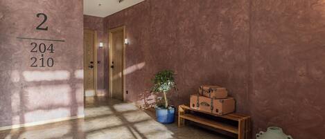 A hallway with a number sign, a potted plant, a bench, and suitcases.