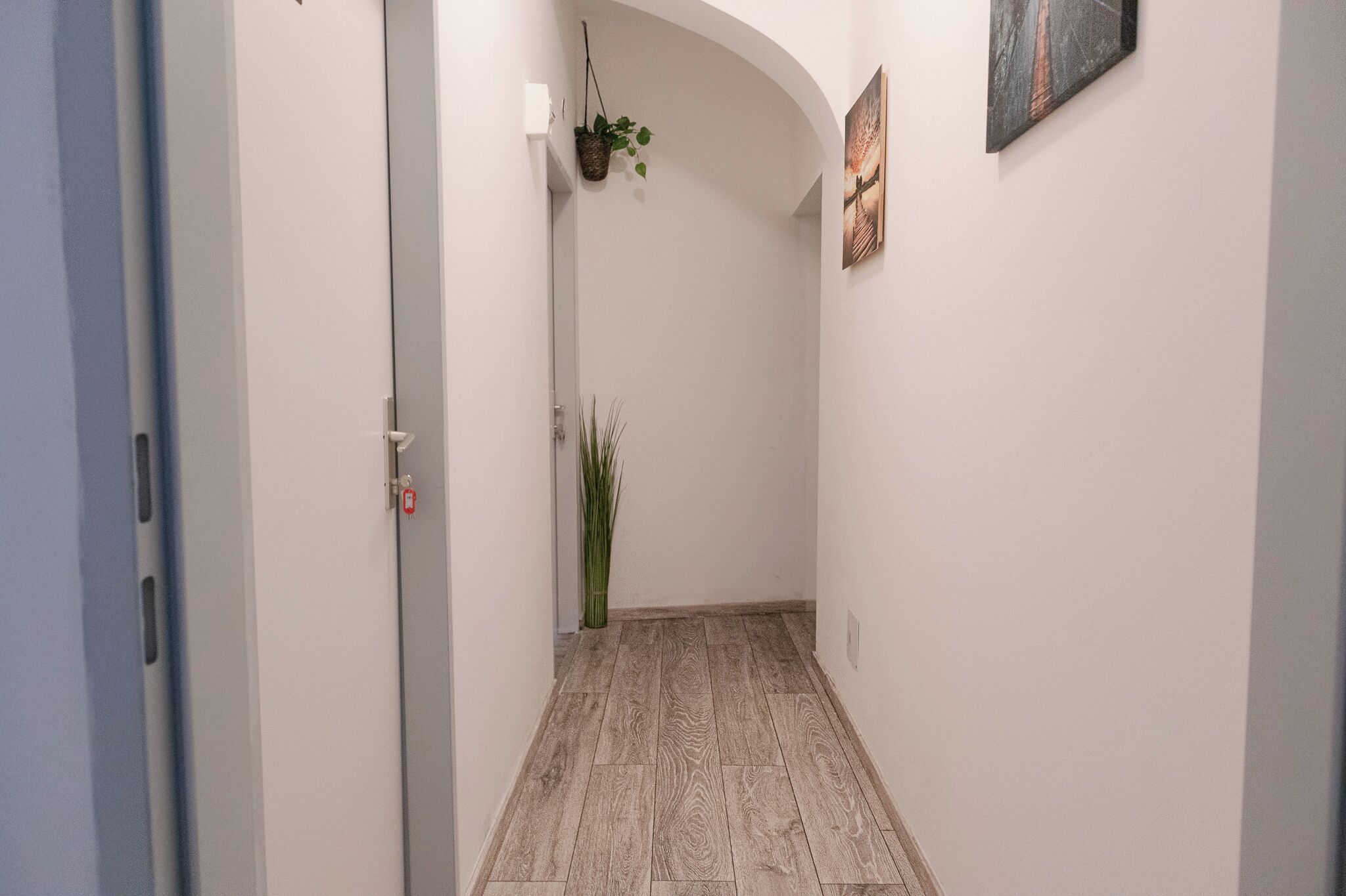 Un couloir avec un plancher en bois, des murs blancs, une porte, une plante suspendue et un tableau encadré.