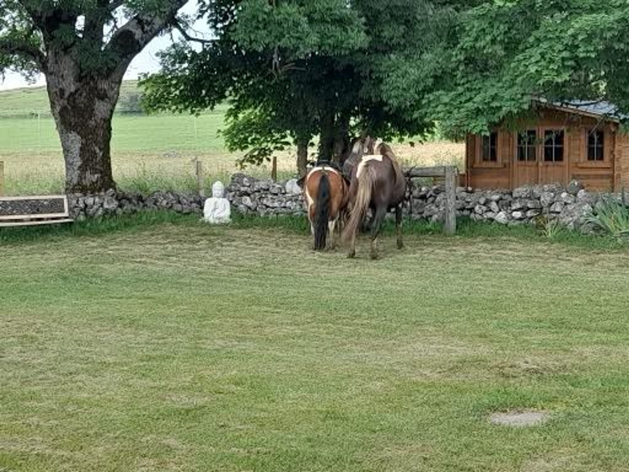 A stable with two horses and a wooden cabin in a grassy field.